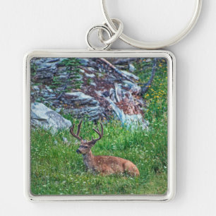 Bedded Buck Key Ring