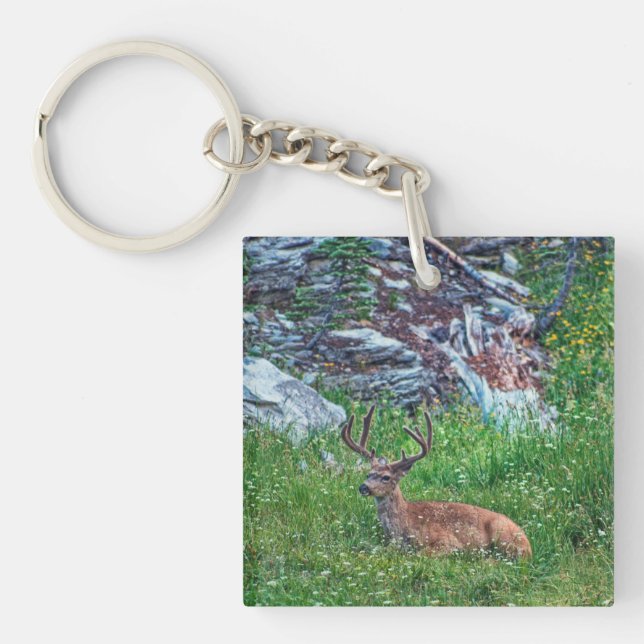 Bedded Buck Key Ring (Front)