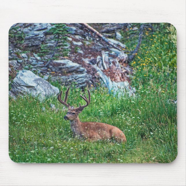 Bedded Buck Mouse Pad (Front)