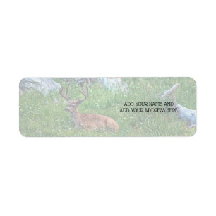 Bedded Buck Return Address Label