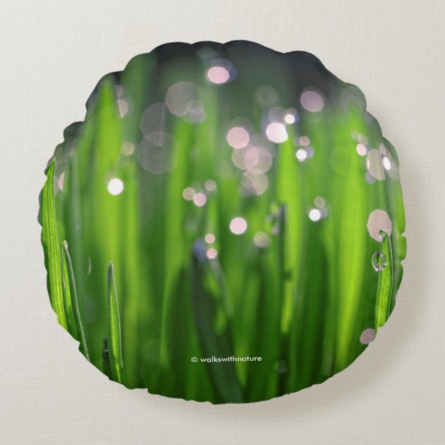 Bedewed Wheatgrass in the Morning Light Round Cushion (Front)