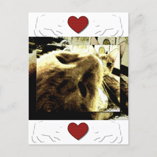 "Bedfellows" by Suan S'Katra Postcard