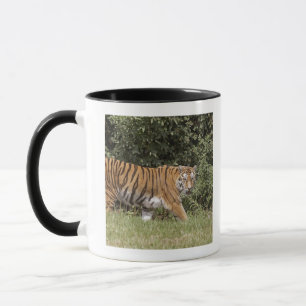 Bedfordshire, England 2 Mug