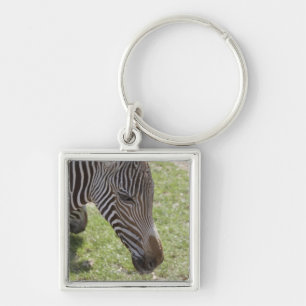 Bedfordshire, England Key Ring