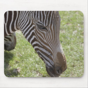 Bedfordshire, England Mouse Pad