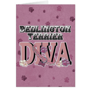 Bedlington Terrier DIVA