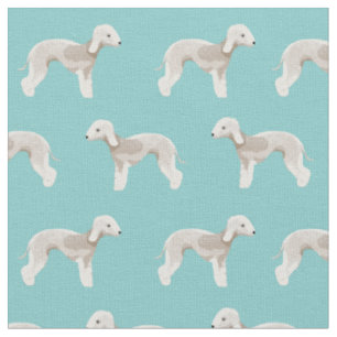 bedlington terrier dogs light blue fabric