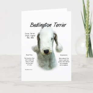 Bedlington Terrier History; All About Bedlingtons Holiday Card