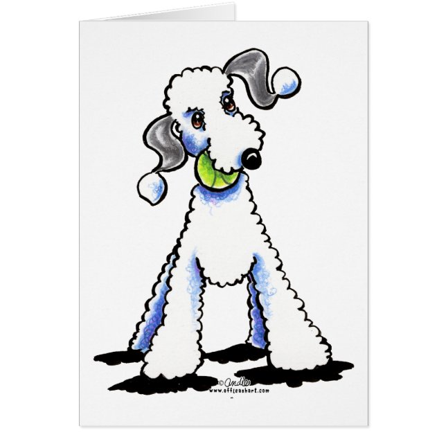 Bedlington Terrier Let's Play (Front)