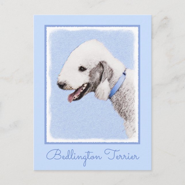 Bedlington Terrier Painting - Original Dog Art Postcard (Front)