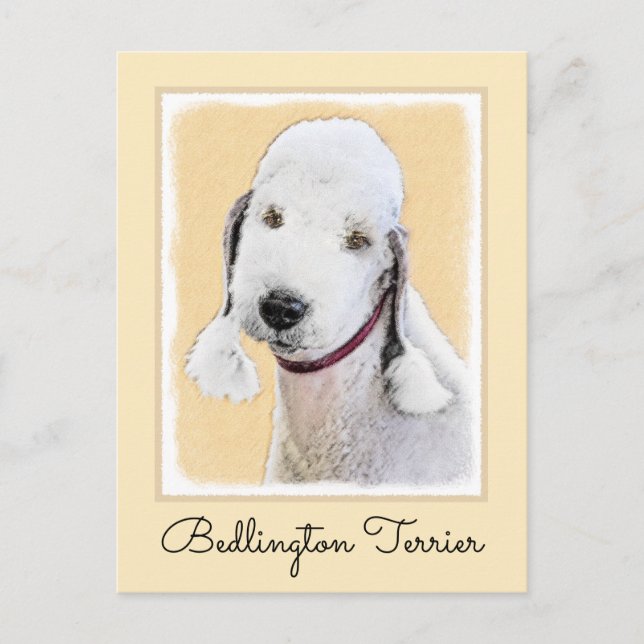 Bedlington Terrier Painting - Original Dog Art Postcard (Front)