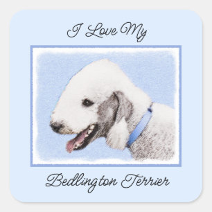 Bedlington Terrier Painting - Original Dog Art Square Sticker