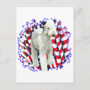 Bedlington Terrier Patriot Postcard