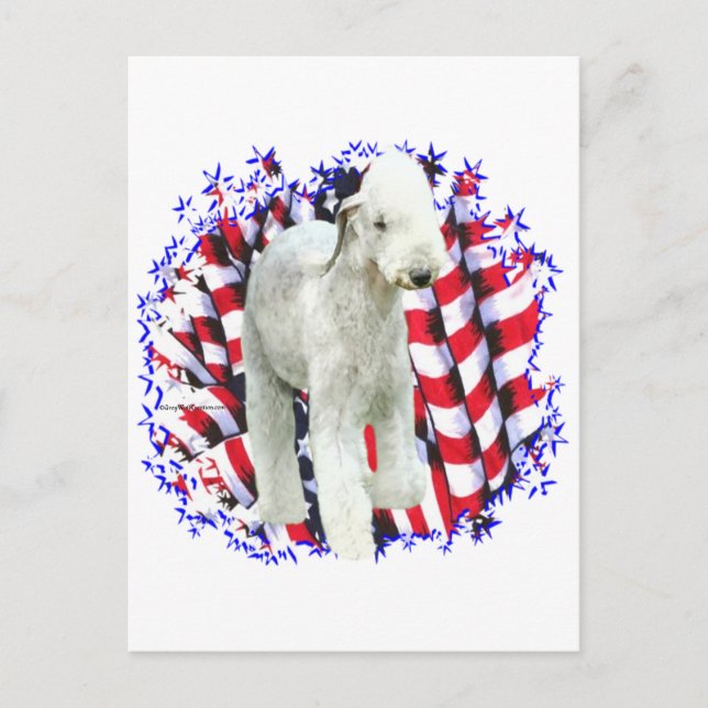 Bedlington Terrier Patriot Postcard (Front)