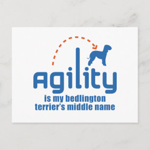 Bedlington Terrier Postcard