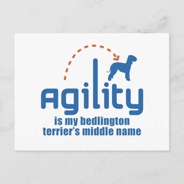 Bedlington Terrier Postcard (Front)