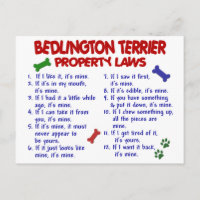 BEDLINGTON TERRIER Property Laws 2