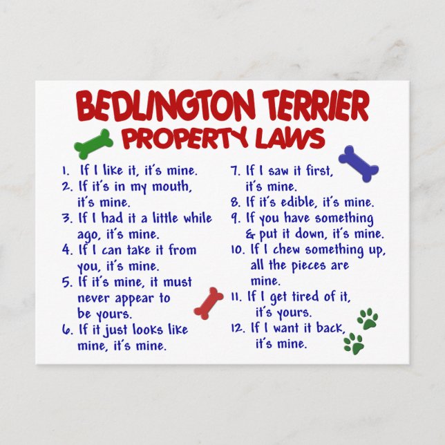BEDLINGTON TERRIER Property Laws 2 Postcard (Front)