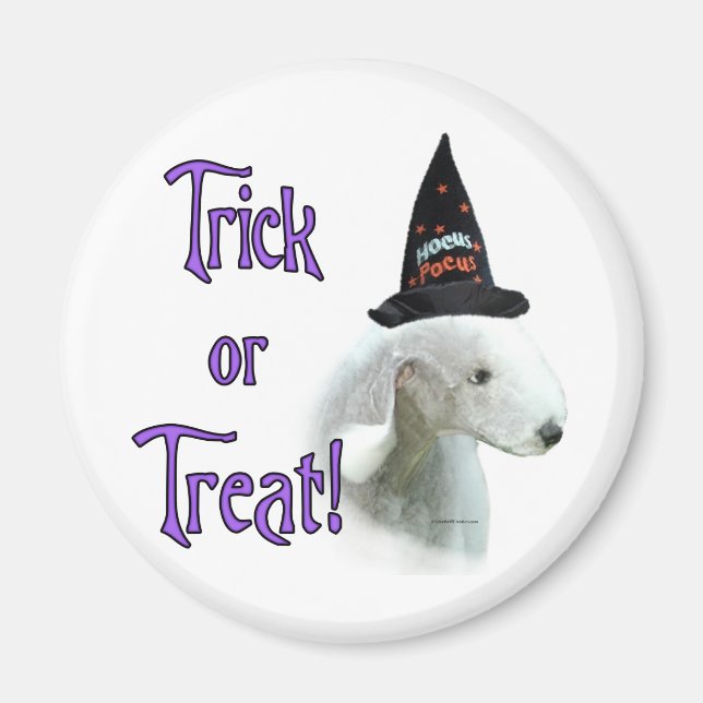 Bedlington Terrier Trick Magnet (Front)