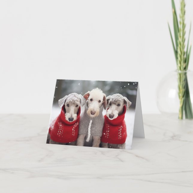 Bedlington Terriers in Christmas Sweaters Card (Front)