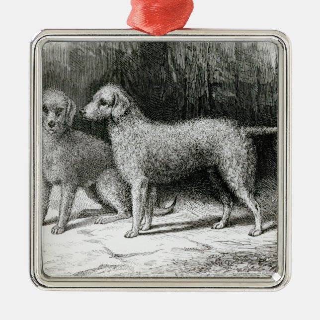 Bedlington Terriers- Mr. F. Armstrong's Metal Tree Decoration (Front)