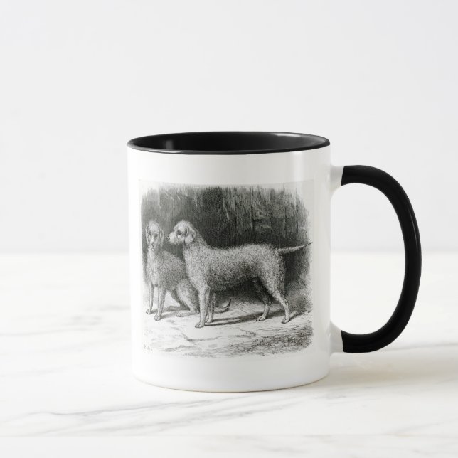 Bedlington Terriers- Mr. F. Armstrong's Mug (Right)