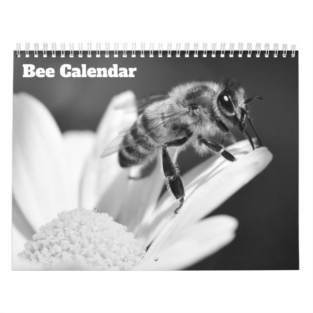 Bee 2027 calendar (Cover)