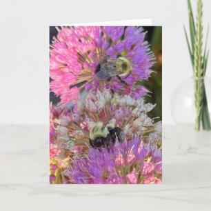 Bee and Blossom Greeting Card