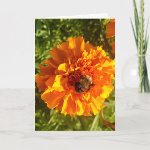 Bee and Blossom Greeting  Card