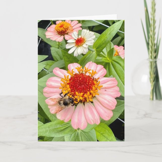 Bee and Blossom Greeting  Card (Front)