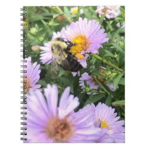 Bee and Blossom  Notebook