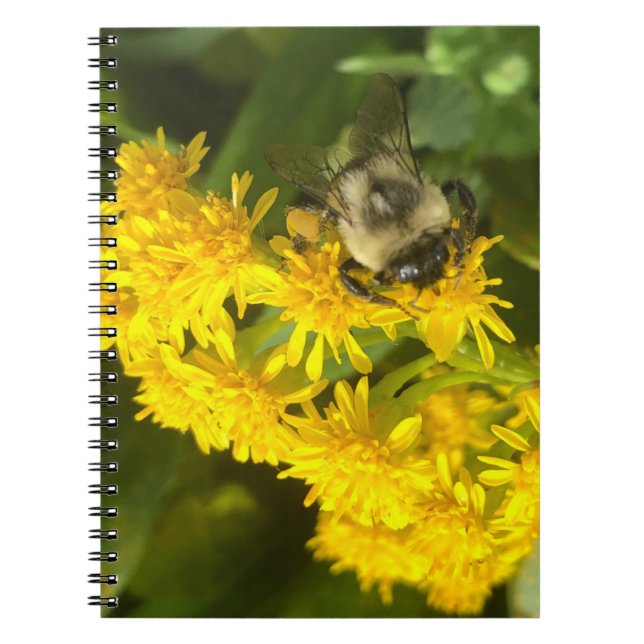Bee and Blossom Notebook (Front)