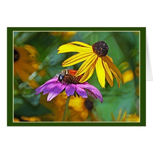 Bee and Blossoms (Front Horizontal)