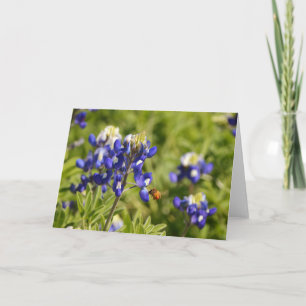Bee and Bluebonnets Scripture Card 2 Peter 1:5-8