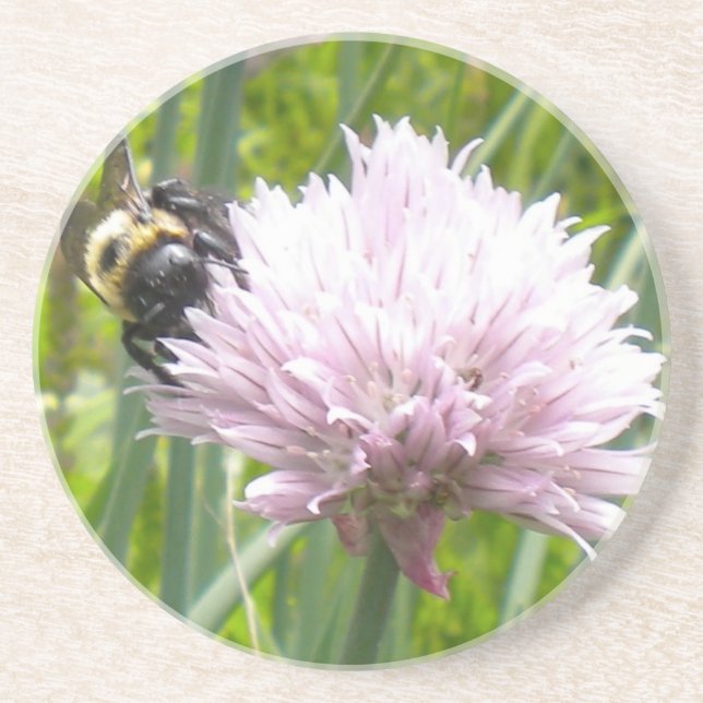 Bee and Chive flower Coaster (Front)