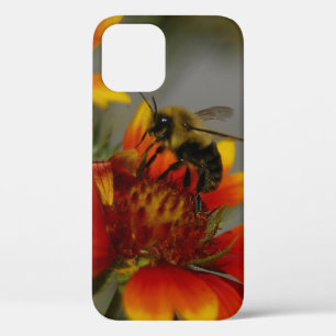 Bee and Flower iPhone 12 Pro Case