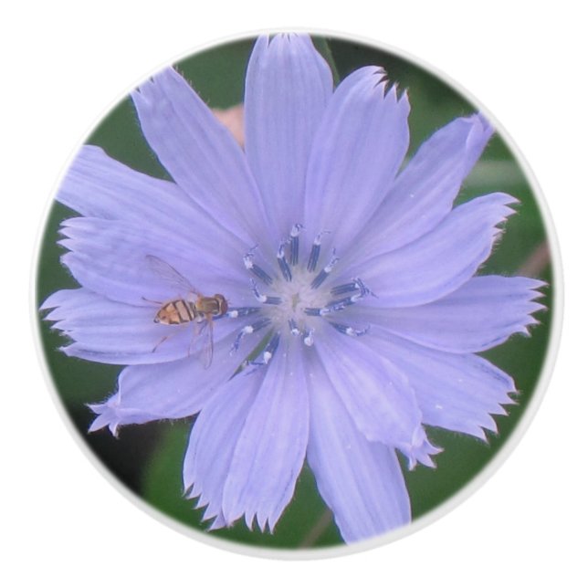 Bee and Flower Ceramic Knob (Front)