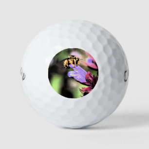Bee and Flower cwb gbcna Golf Balls