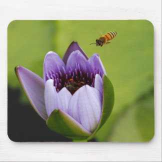 Bee and flower Mouse Pad