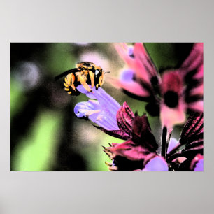 Bee and Flower wapcn Poster