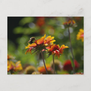 Bee and Flowers Postcard