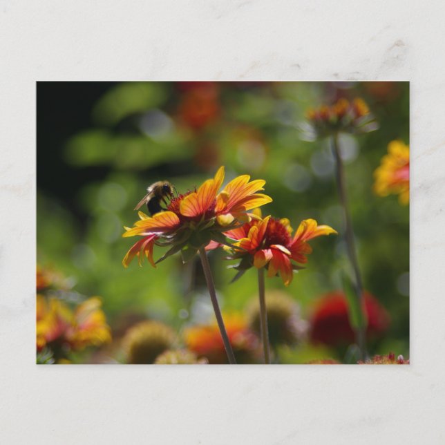 Bee and Flowers Postcard (Front)