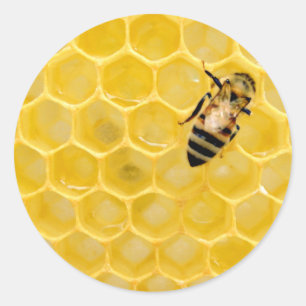 bee and honeycomb classic round sticker