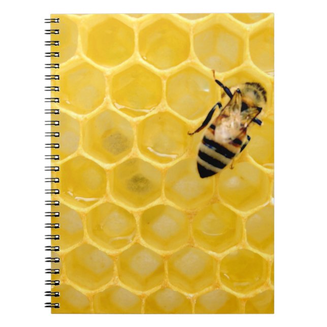 bee and honeycomb notebook (Front)
