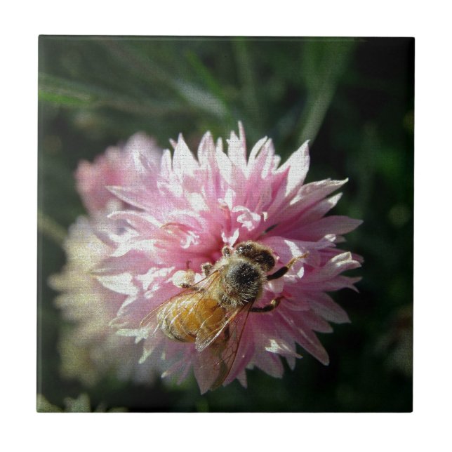 Bee and Pink Flower Ceramic Tile (Front)