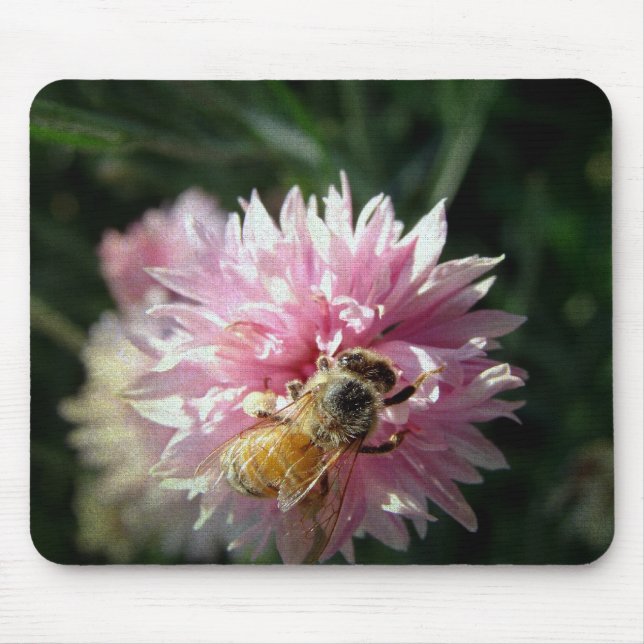 Bee and Pink Flower Mouse Pad (Front)