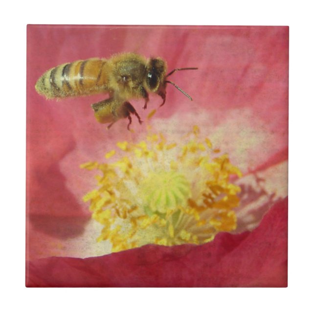 Bee and Poppy Flower Ceramic Tile (Front)