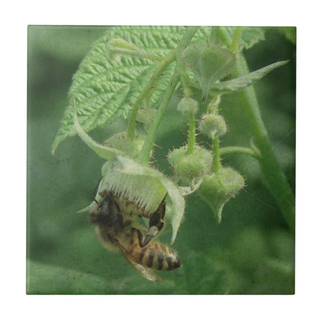Bee and Raspberry Flowers Ceramic Tile (Front)