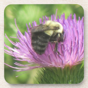 Bee and Thistle Coaster