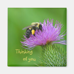 Bee And Thistle Magnet